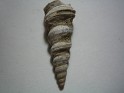 Unknown  Spain. Uploaded by Granotius